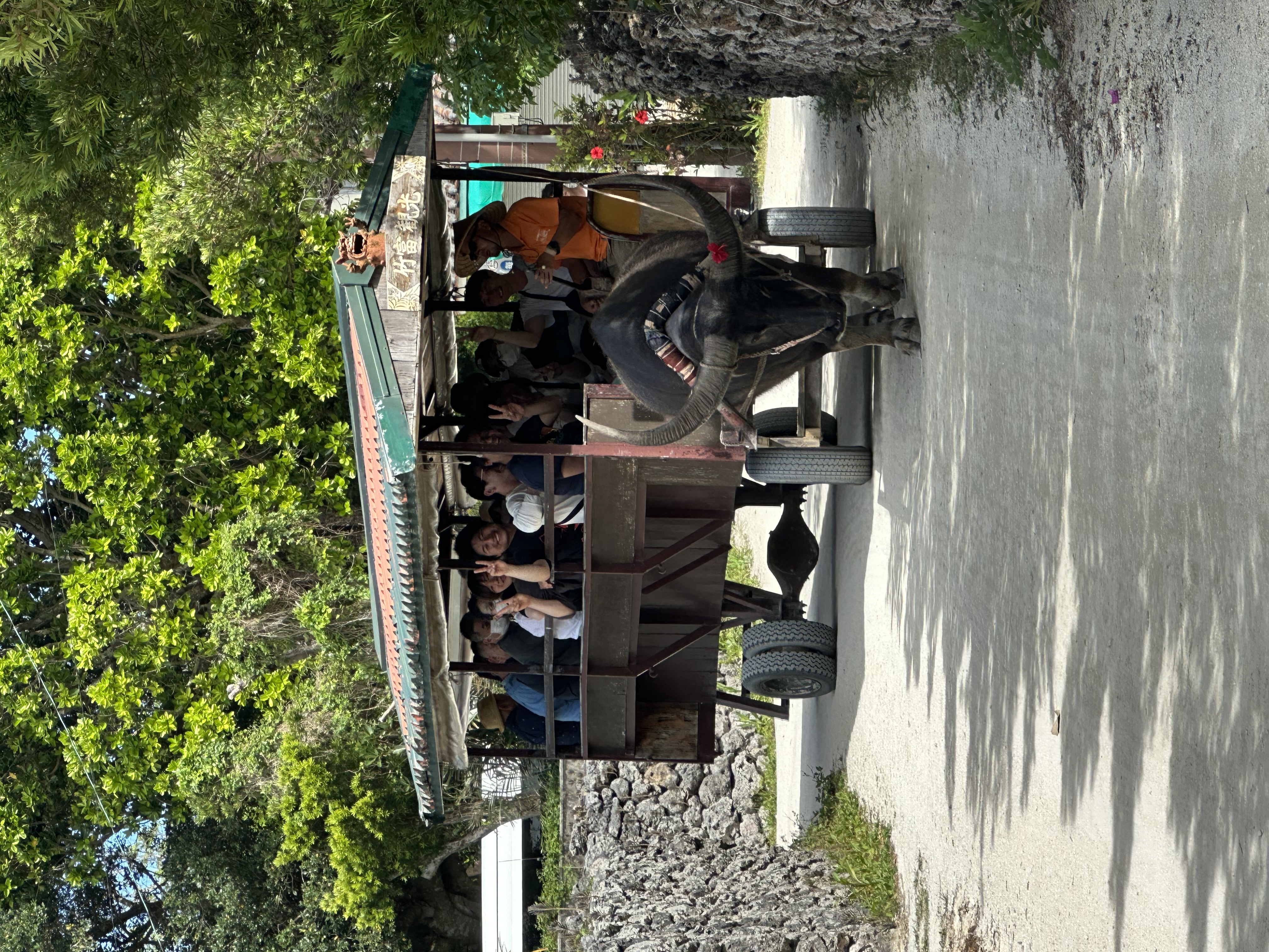 社員旅行の様子